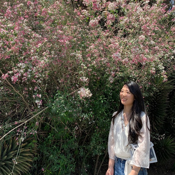 Meet your Posher, Sunny - Picture 4 of 4